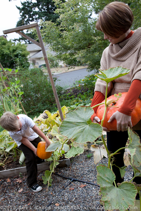 Lisa grew a lot of pumpkins this year because her son was into them