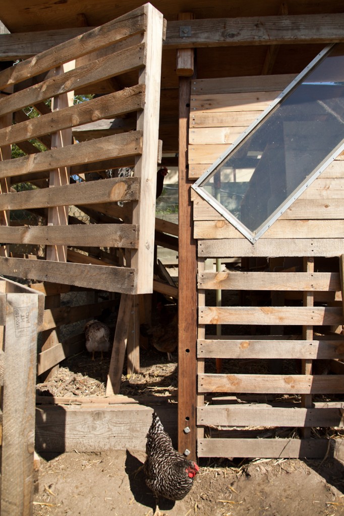 Maya and Nevada's chicken coop made from old pallettes.