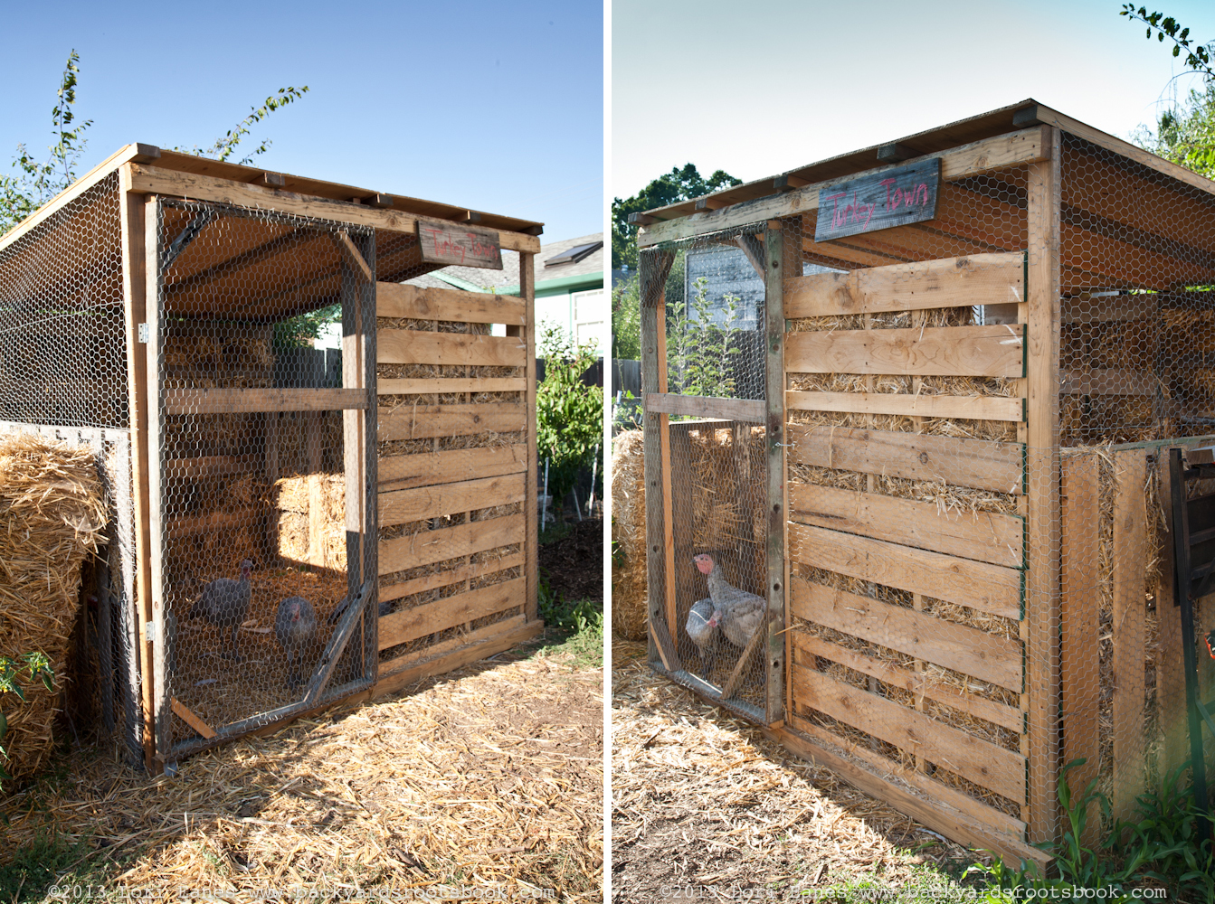 chicken coop idea | Backyard Roots | Page 2